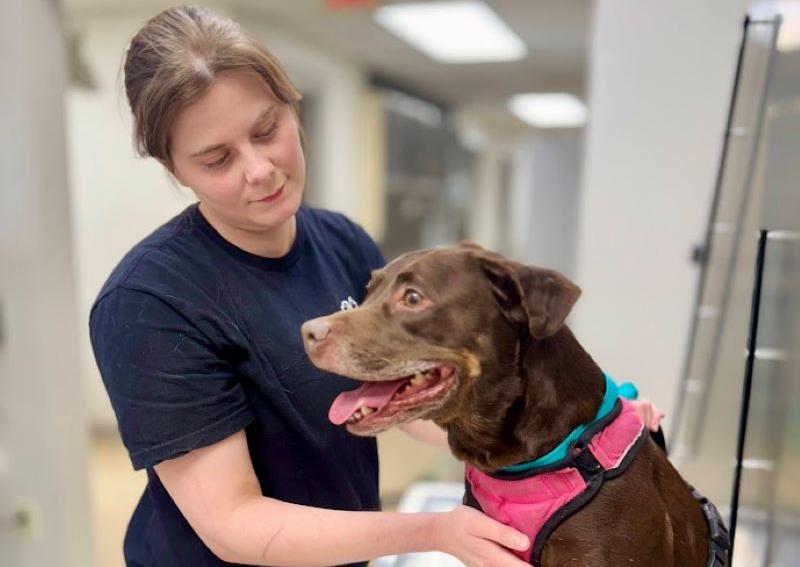 Carousel Slide 8: We offer a variety of veterinary services